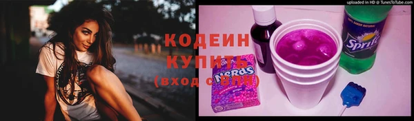 ПСИЛОЦИБИНОВЫЕ ГРИБЫ Костерёво
