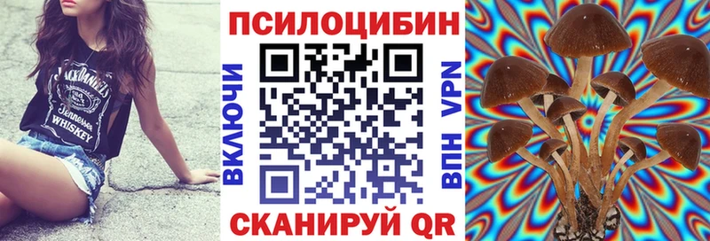 Купить закладки  Воркута  Галлюциногенные грибы GOLDEN TEACHER 