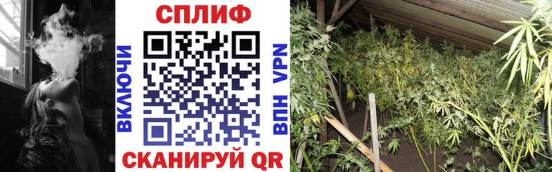 Марихуана планчик  Купить закладки  Воркута 